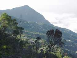 Dorf am noerdlichen Hang des Avila im Hintergrund der Gipfel Galipan