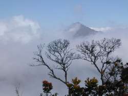 Entre las nubes, el pico Naiguat