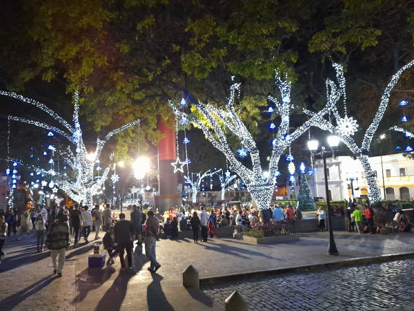 Plaza el Venezolano alumbrada en navidad