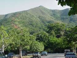 Cerro Casupo (Casupo Hill)