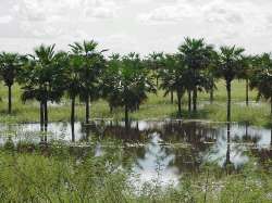Esteros de Camagun inundados en Invierno