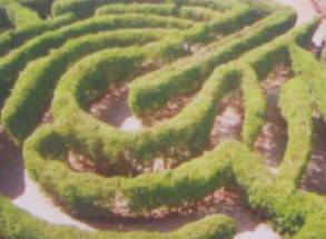 Blick vom Labyrinth