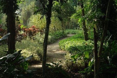 Parque de la Flora Extica Tropical
