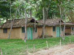 Pui Puy's Cabins