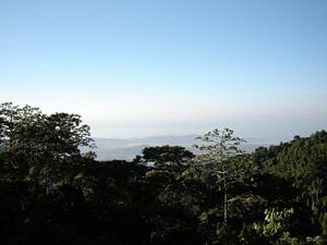 Vista Panorámica