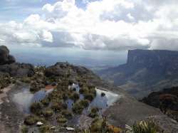 Vue du Kukenan, ds le sommet de Roraima