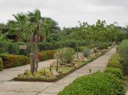 Ein botanischer Garten