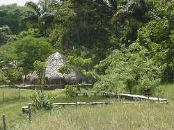 Panorámica de Aguasana