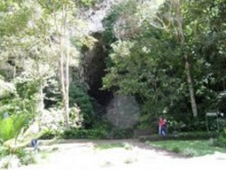 Cueva del Guácharo