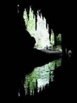 Cueva del Guácharo