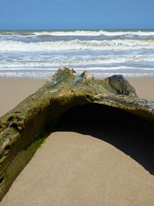 Escultura