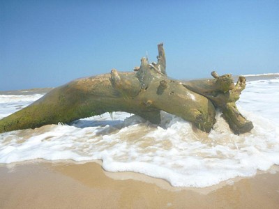 Escultura